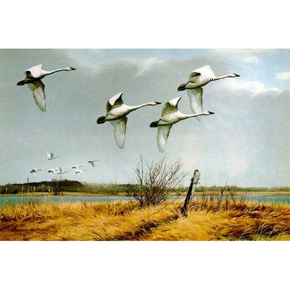 MAYNARD REECE  Secondary Market Art: "REGAL FLIGHT SWANS"