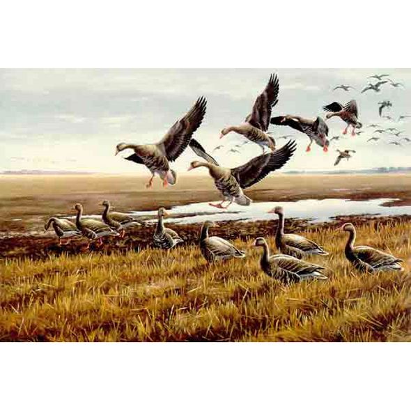 MAYNARD REECE  Secondary Market Art: "RENDEZVOUS GEESE"