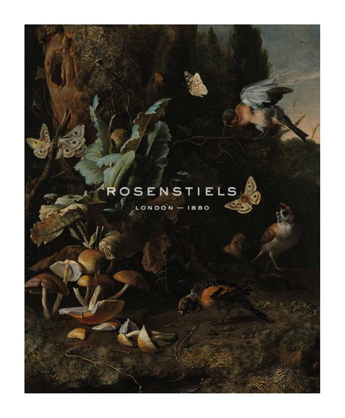 Melchior d'Hondecoeter Hand Numbered Limited Edition Print on Paper :"Animals and Plants"