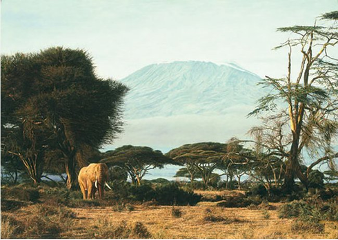 Simon Combes Limited Edition Artist Proof Print:"Kilimanjaro Morning" Simon Combes Limited Edition Artist Proof Print:"Kilimanjaro Morning"