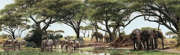 Simon Combes Limited Edition Artist's Proof Print:"African Oasis"