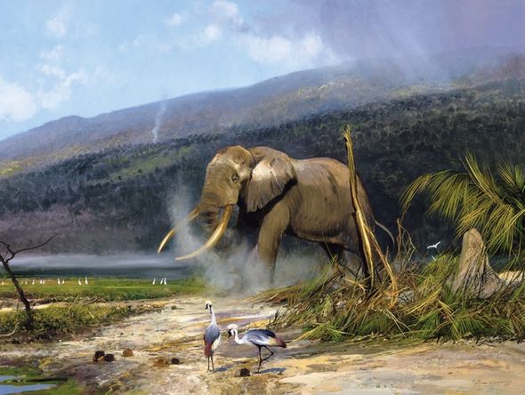 Michael Coleman Hand Signed and Numbered Limited Edition Giclee:"African Tusker - Bull Elephant"