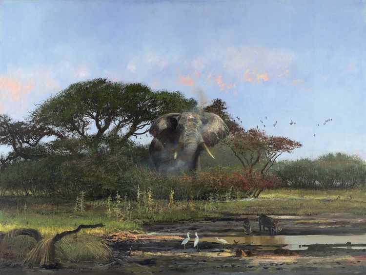 Michael Coleman Hand Signed and Numbered Limited Edition Giclee:"In the Chobe"