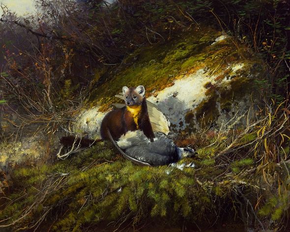 Michael Coleman Hand Signed and Numbered Limited Edition Giclee:"In the North Woods - Pine Martin"