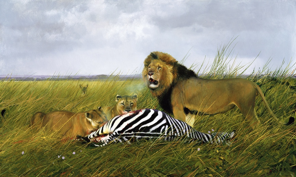 Michael Coleman Hand Signed and Numbered Limited Edition Giclee:"Masai Lion"