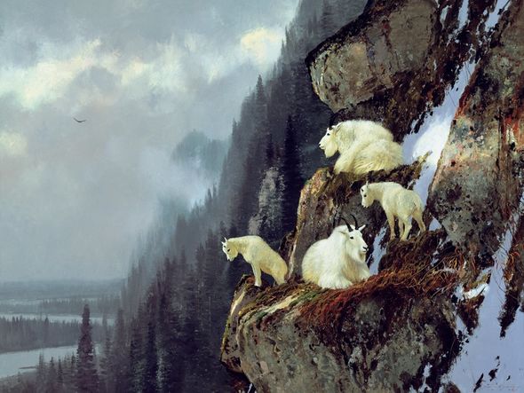 Michael Coleman Hand Signed and Numbered Limited Edition Giclee:"On the Ospika"