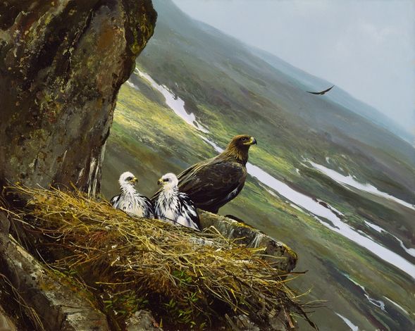 Michael Coleman Hand Signed and Numbered Limited Edition Giclee:"Regal View - Golden Eagle"