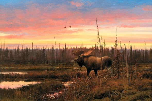 Michael Coleman Hand Signed and Numbered Limited Edition Giclee:"September - Moose"