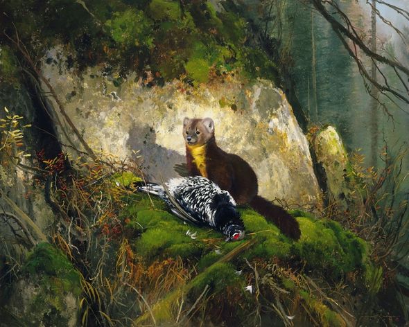 Michael Coleman Hand Signed and Numbered Limited Edition Giclee:"Spruce Grouse & Pine Martin"