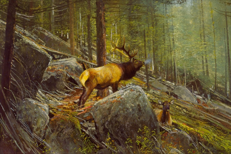 Michael Coleman Hand Signed and Numbered Limited Edition Giclee:"The Monarch - Bull Elk"