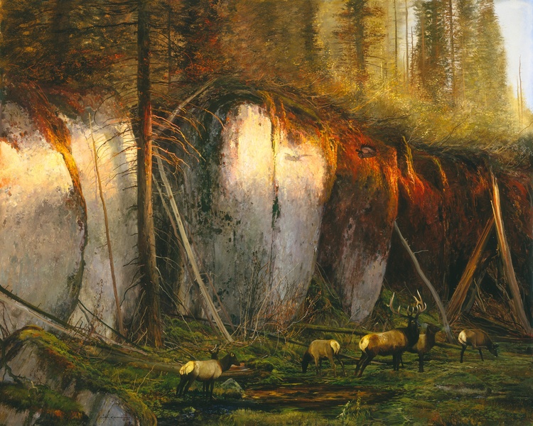 Michael Coleman Hand Signed and Numbered Limited Edition Giclee:"Under Silent Wings"