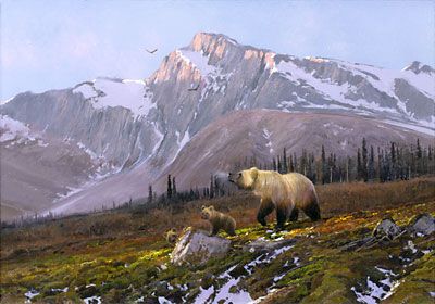 Michael Coleman Hand Signed & Numbered Limited Edition Giclee on Paper:"Alaskan Dawn - Grizzly Family"