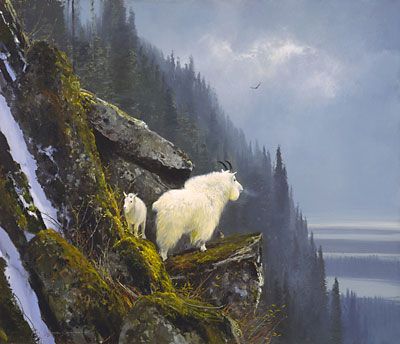 Michael Coleman Hand Signed & Numbered Limited Edition Giclee on Paper:"Rugged Heights - Mountain Goat Family"