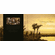 Michael Coleman Handsigned and Numbered Canvas Giclee w/ Fine Art Book: "Milk River - Blackfeet"