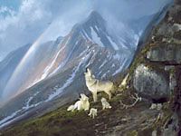 Michael Coleman Handsigned & Numbered Giclee Limited Edition Print:"Answering The Call-Timberwolves"