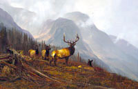 Michael Coleman Handsigned & Numbered Giclee Limited Edition Print:"In The Bookcliffs-Elk"