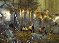 Michael Coleman Handsigned & Numbered Giclee Limited Edition Print:"In The Shadows"