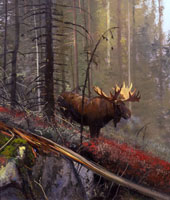 Michael Coleman Handsigned & Numbered Giclee Limited Edition Print:"In The Timber-Bull Moose"