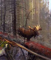 Michael Coleman Handsigned & Numbered Giclee Limited Edition Print:"In The Timber-Bull Moose"