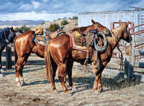 Tim Cox Artist Signed & Numbered Limited Edition Canvas:"If It Itches, Scratch It "