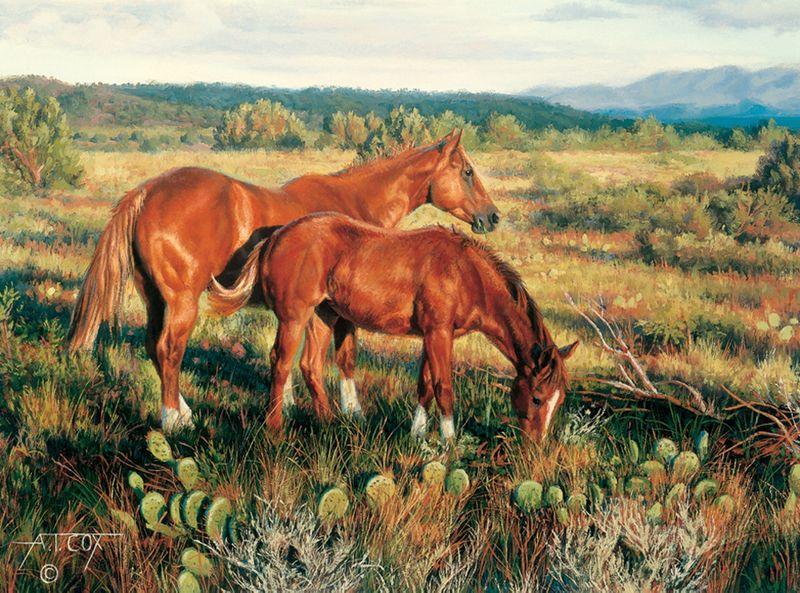 Tim Cox Artist Signed Canvas Edition:"Sorrels in the Sun "