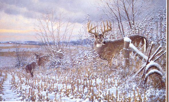 MICHAEL SIEVE 28X17 Secondary Market Art: "AFTER THE STORM DEER"