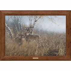 Michael Sieve Framed Gallery Canvas: "One for the Records-Deer"