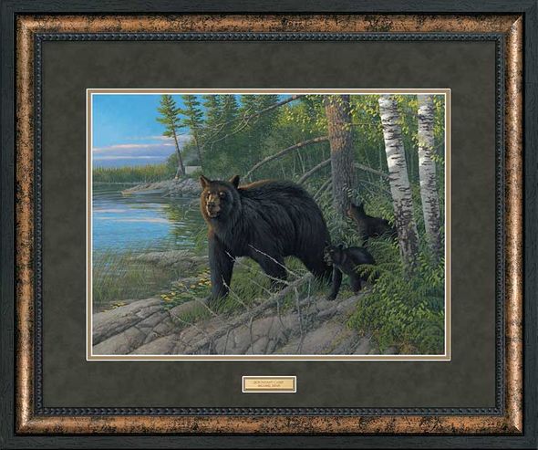 Michael Sieve Framed Open Edition Print: "Boundary Camp-Black Bears"