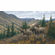 Michael Sieve Hand Signed and Numbered Limited Edition Canvas Giclee:"Working the Ridge—Moose"