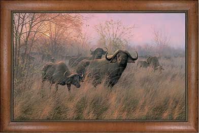 Michael Sieve Handsigned and Numbered Limited Edition: "Framed Malindi Morning Canvas"