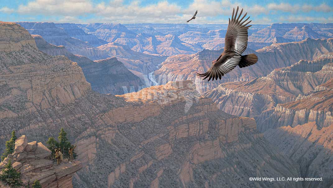 Michael Sieve Limited Edition Premiere Canvas Giclee:"Bright Angel - Condor"