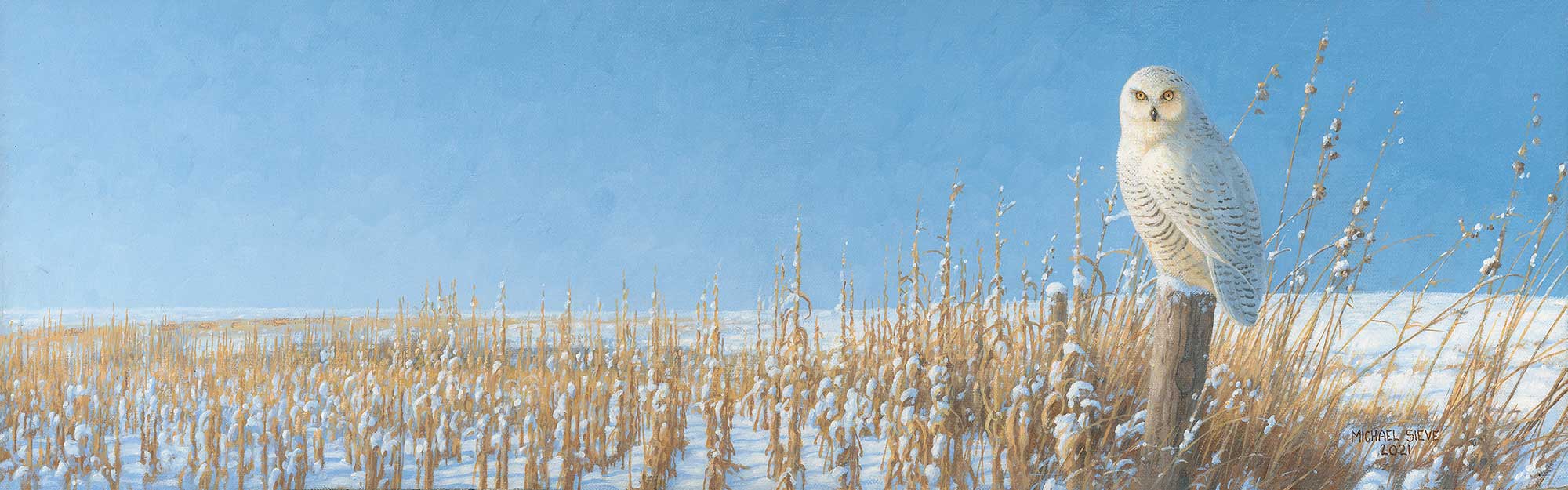 Michael Sieve Limited Edition Print: "Down South – Snowy Owl"