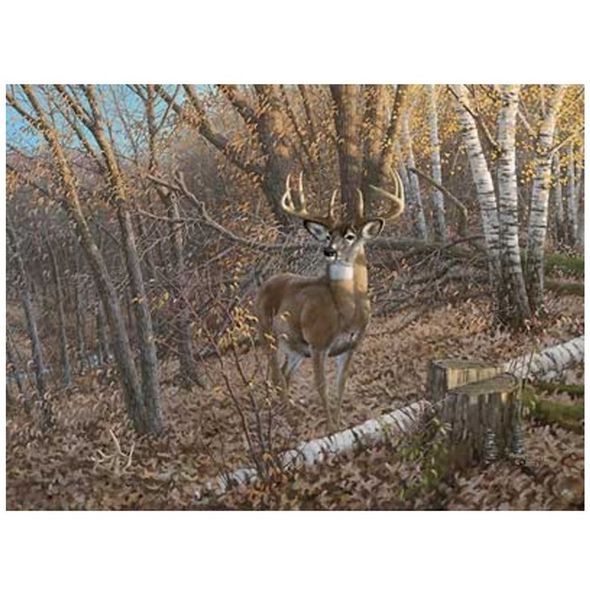 Michael Sieve 24x36 Gallery Wrap Canvas Giclee:"Great Eight - Whitetail Deer "