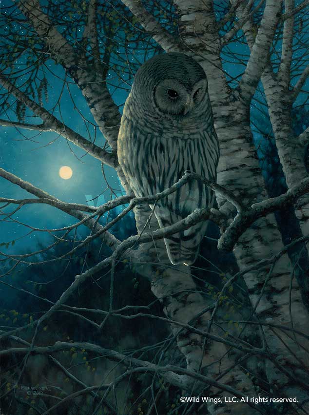 Michael Sieve Original Oil Painting "Thunder ValleyWho Cooks for You