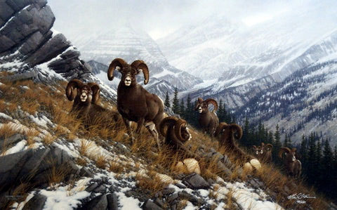 Michael Sieve Print-Signed and Numbered:"Glacier Kings- Bighorn Sheep"