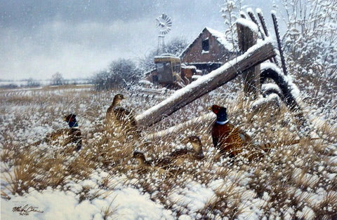 Michael Sieve Print-Signed and Numbered:"Hunkered Down- Pheasant"