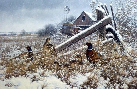 Michael Sieve Print-Signed and Numbered:"Hunkered Down- Pheasant"