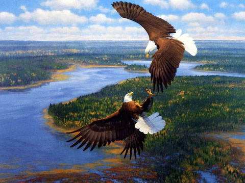 Michael Sieve Print-Signed and Numbered:"Sky Dancers- Bald Eagles"