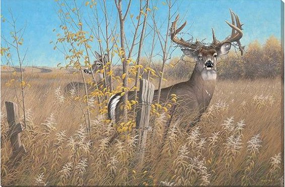 Michael Sieve 24x36 Gallery Wrapped Canvas:"The Old Warrior"