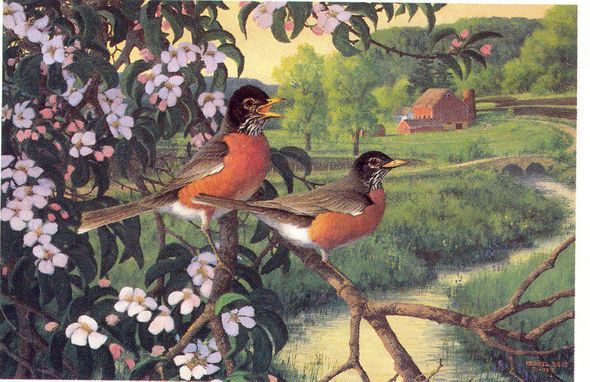 MICHAEL SIEVE  Secondary Market Art: "APPLE BLOSSOM TIME ROB"