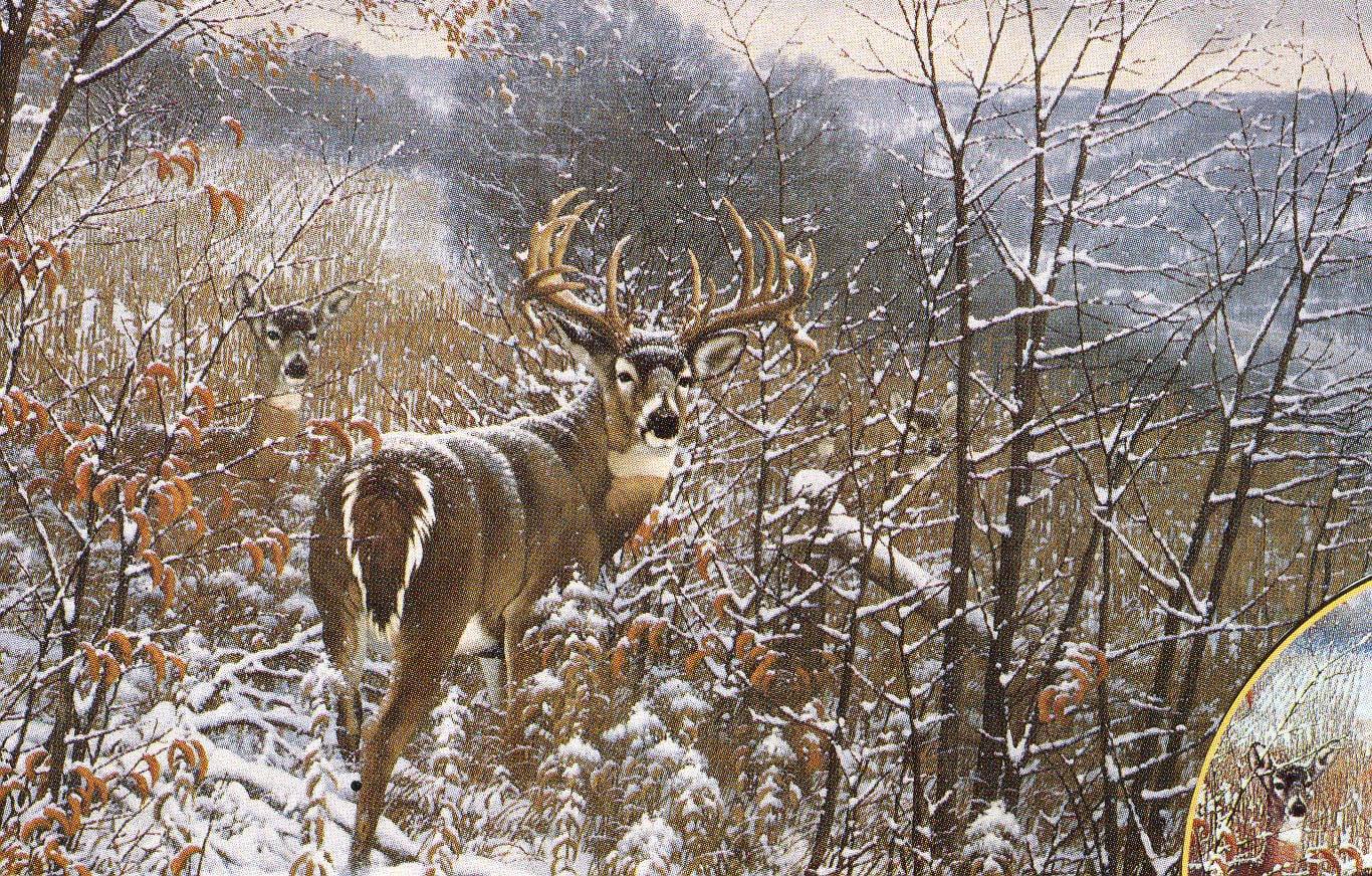 MICHAEL SIEVE Secondary Market Art "DREAM BUCK WHITETAIL" SIEVE, MICHAEL