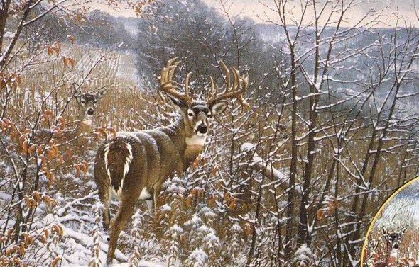 MICHAEL SIEVE  Secondary Market Art: "DREAM BUCK WHITETAIL"