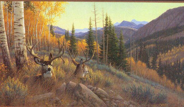 MICHAEL SIEVE  Secondary Market Art: "INDIAN SUMMER MULEDEER"