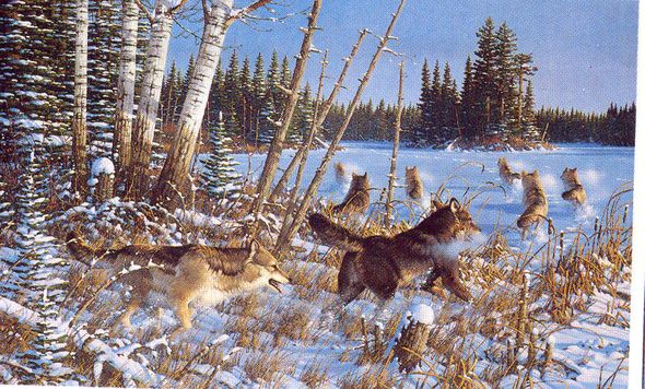 MICHAEL SIEVE  Secondary Market Art: "NORTHERN PURSUIT"