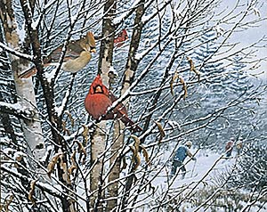 MICHAEL SIEVE  Secondary Market Art: "TRAILSIDE CARDINALS"