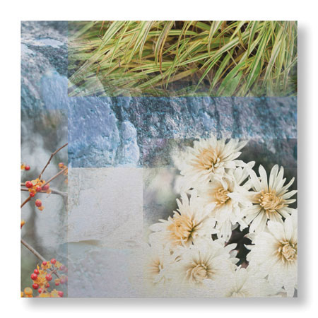 Michelle Joyce Limited Edition Ready to Hang Giclee on Brushed Aluminum: "Fusion"