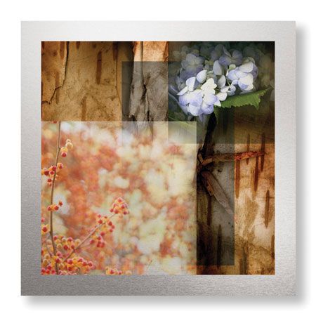 Michelle Joyce Limited Edition Ready to Hang Giclee on Brushed Aluminum: "Meditate"