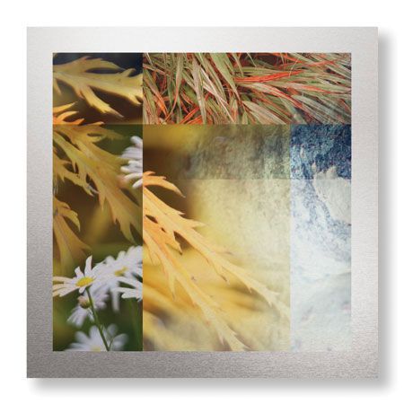 Michelle Joyce Limited Edition Ready to Hang Giclee on Brushed Aluminum: "Remedy"