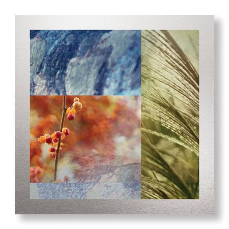 Michelle Joyce Limited Edition Ready to Hang Giclee on Brushed Aluminum: "Restore"