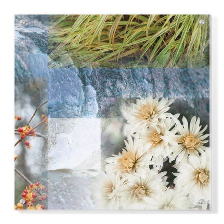 Michelle Joyce Limited Edition Ready to Hang Giclee on Clear Acrylic: "Fusion"